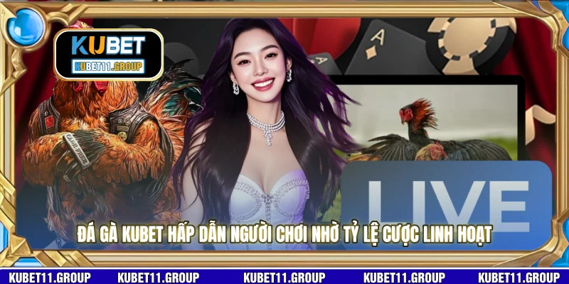 Đá gà KUBET hấp dẫn người chơi nhờ tỷ lệ cược linh hoạt