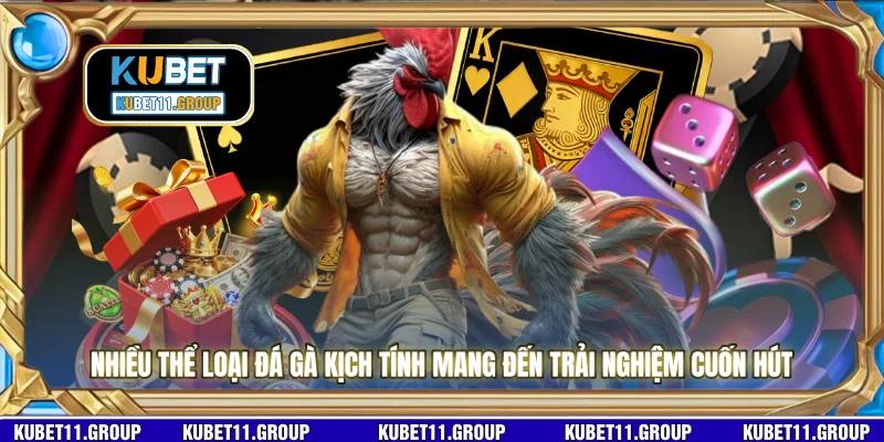 Nhiều thể loại đá gà kịch tính mang đến trải nghiệm cuốn hút