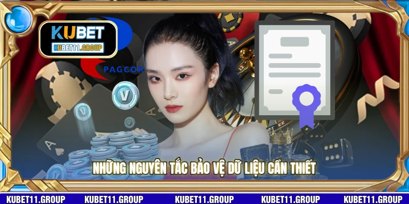 Những nguyên tắc bảo vệ dữ liệu cần thiết